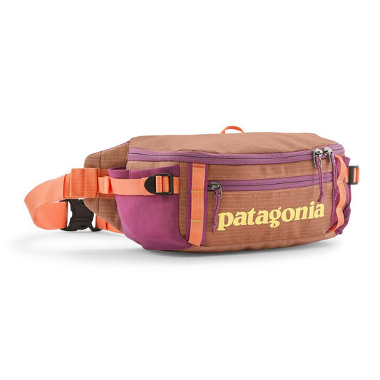 Black Hole® Waist Pack 5L | Patagonia us
