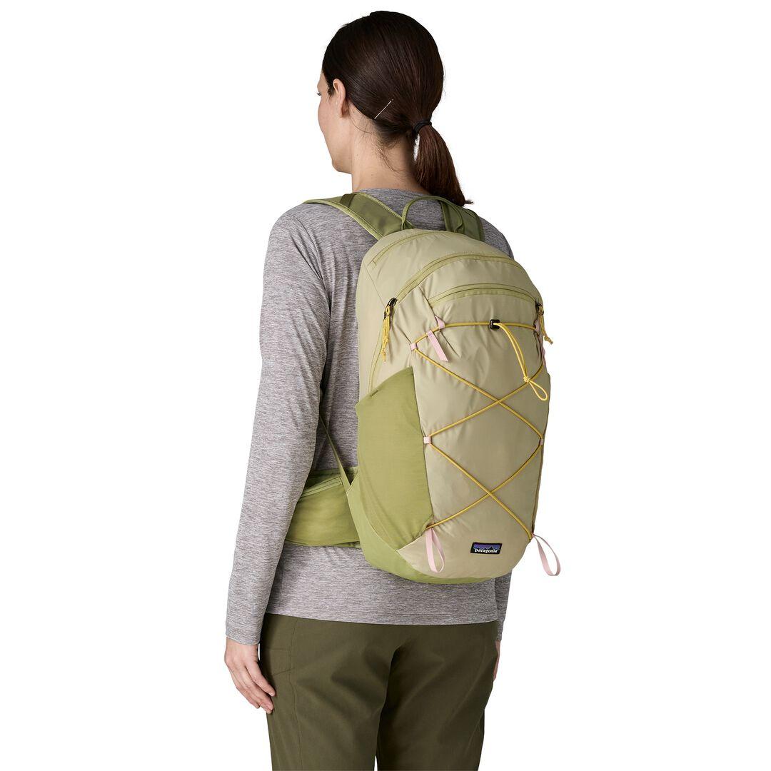 Terravia Pack 22L | Patagonia on sale